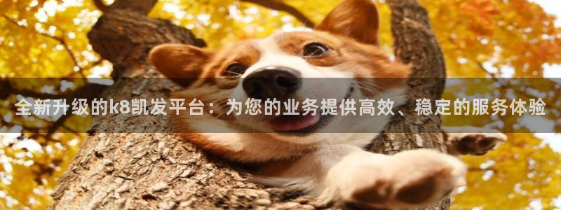 69066永盈官网玩法