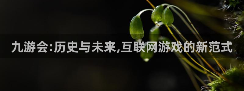 佛山永盈陶瓷有限公司