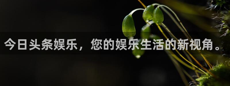 永盈帐户大厅