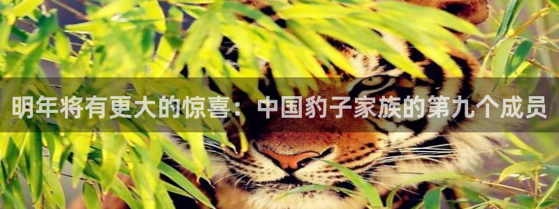东莞市永盈电子有限公司