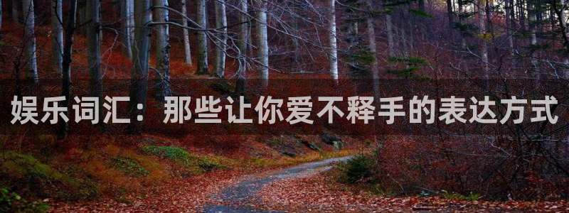 永盈平台登录网址