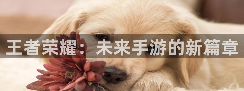 永盈3622网站登录入口