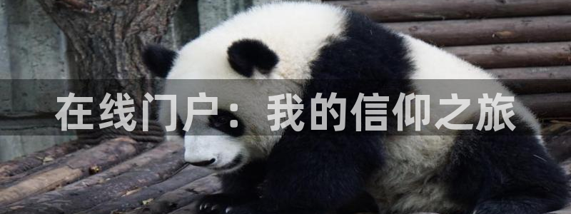永盈欢迎您-首页