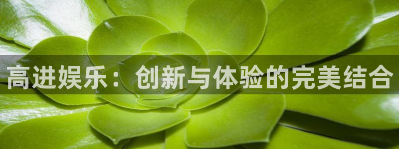 永盈欢迎您-首页