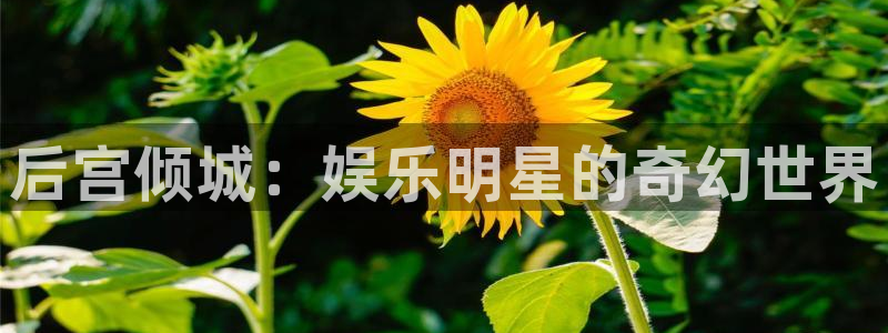 佛山永盈企业有限公司