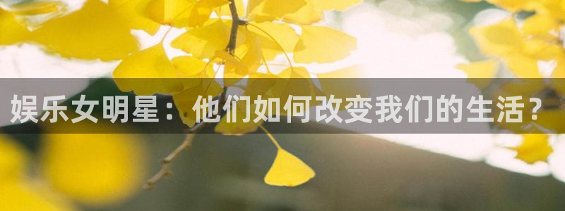 东莞市永盈玩具科技有限公司