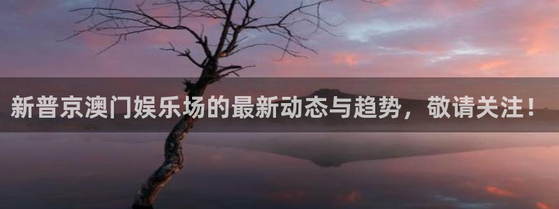 永盈科技