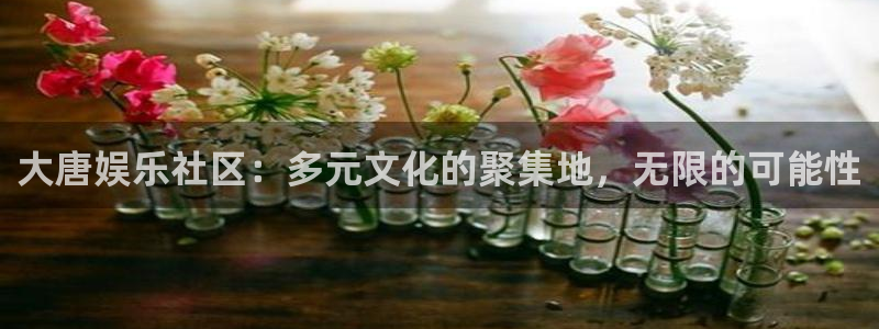 永盈棋牌3622mooc
