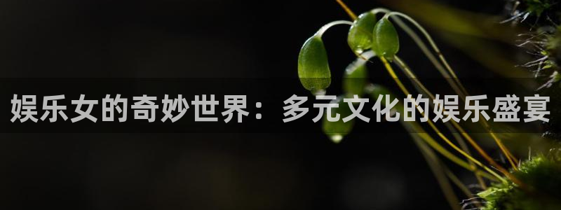 永盈印刷