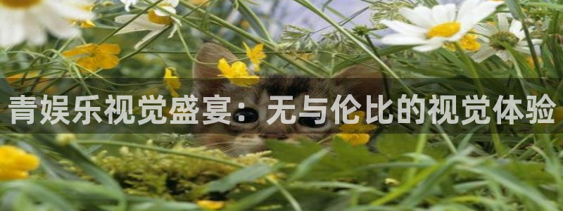 永盈五金