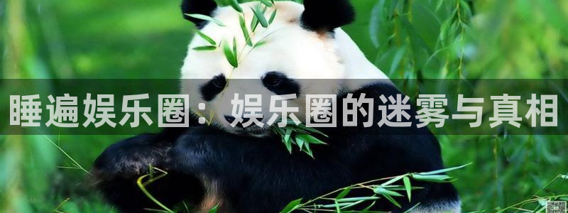 永盈快三 永盈快三导师