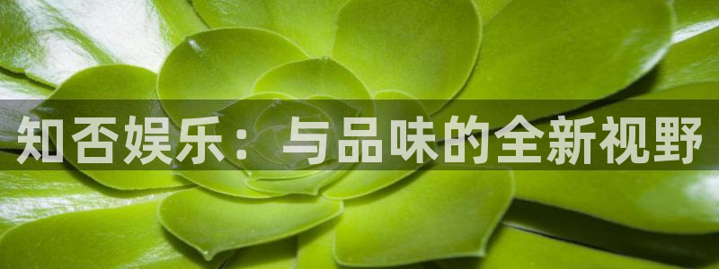 东莞市永盈玩具科技有限公司