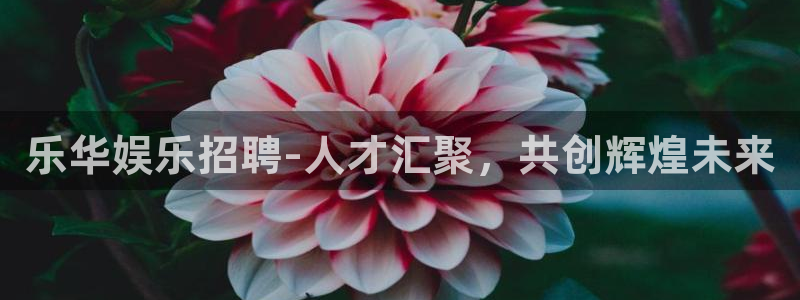 永盈网址