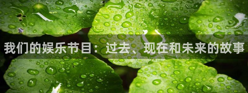 佛山永盈陶瓷有限公司