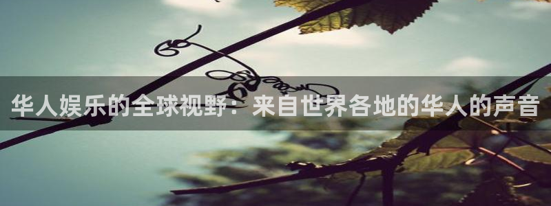 东莞市永盈电子有限公司
